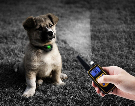 DODATKOWA ELEKTRYCZNA OBROŻA DLA PSA TRENINGOWA