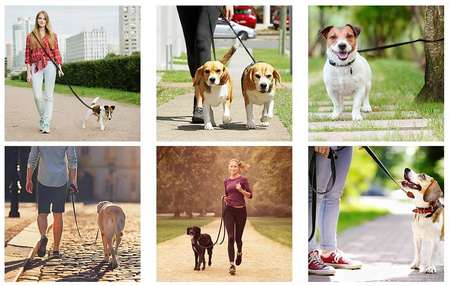 SMYCZ DLA PSA REGULOWANA PODWÓJNA 5m NAJMOCNIEJSZA