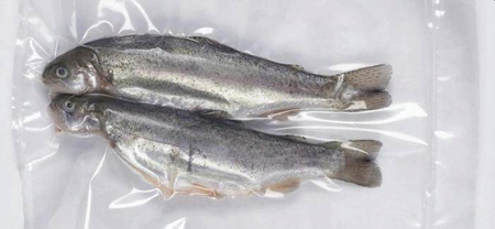 FOLIA DO ZGRZEWARKI PRÓŻNIOWEJ RĘKAW 20x600cm