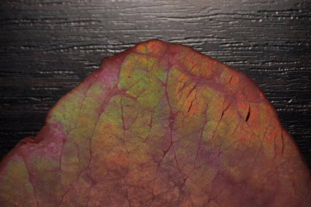 FOLIA DO ZGRZEWARKI PRÓŻNIOWEJ RĘKAW 28x600cm