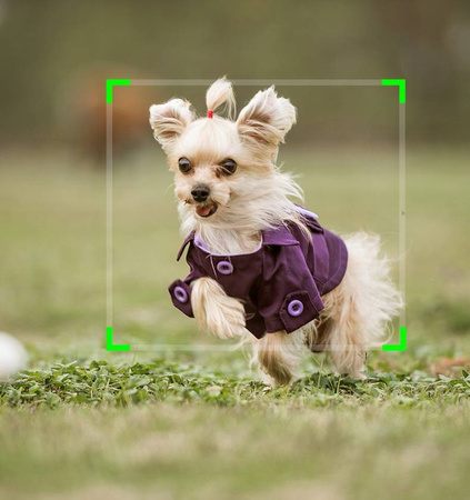 Obrotowy uchwyt robot na smartfona do nagrywania