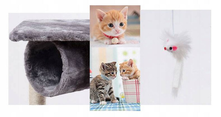 DRAPAK DRZEWKO WIEŻA DLA KOTA DUŻY DOMEK BUDKA LEGOWISKO SŁUPEK MYSZKA