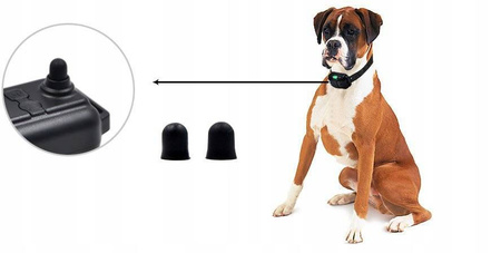 2xELEKTRYCZNA OBROŻA DLA PSA TRENINGOWA 800M PILOT