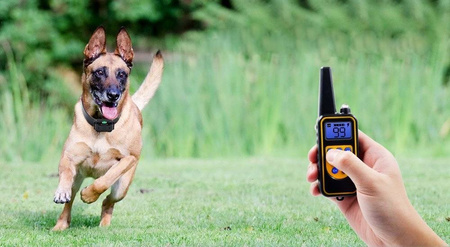 ELEKTRYCZNA OBROŻA DLA PSA TRENINGOWA 800M PILOT