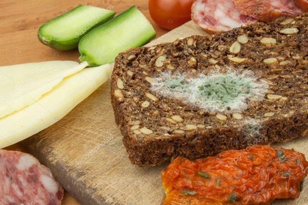 FOLIA DO ZGRZEWARKI PRÓŻNIOWEJ RĘKAW 20x600cm